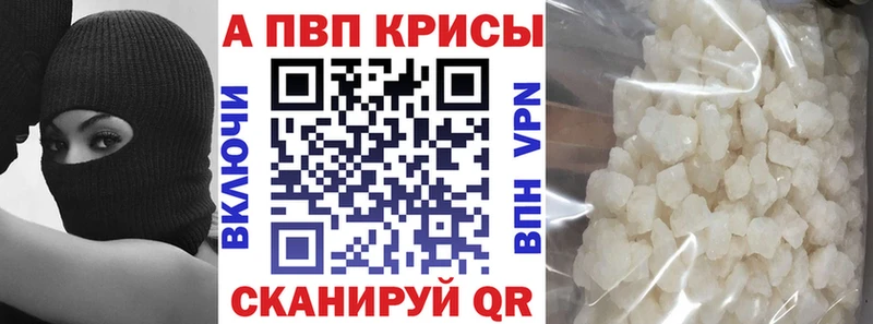 A PVP СК  Багратионовск 